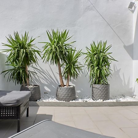 Sunny Cozy Penthouse With A Terrace At Plaza Del Carmen Lejlighed Valencia Eksteriør billede